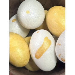 Яйца шоколадные с миндалем микс "Белый с золотом" (3шт/уп)